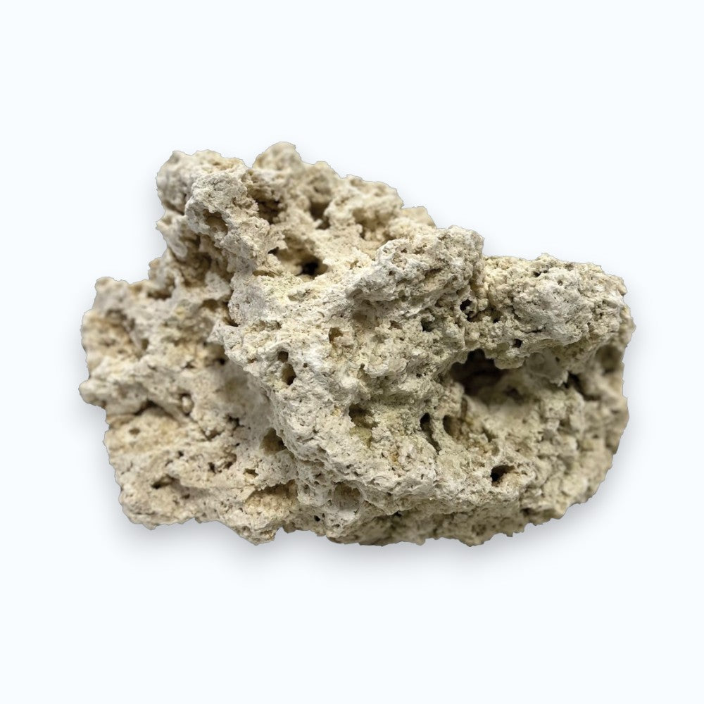 BlueMarine Dry Reef Rock – roches de récif sèches pour aquarium marin