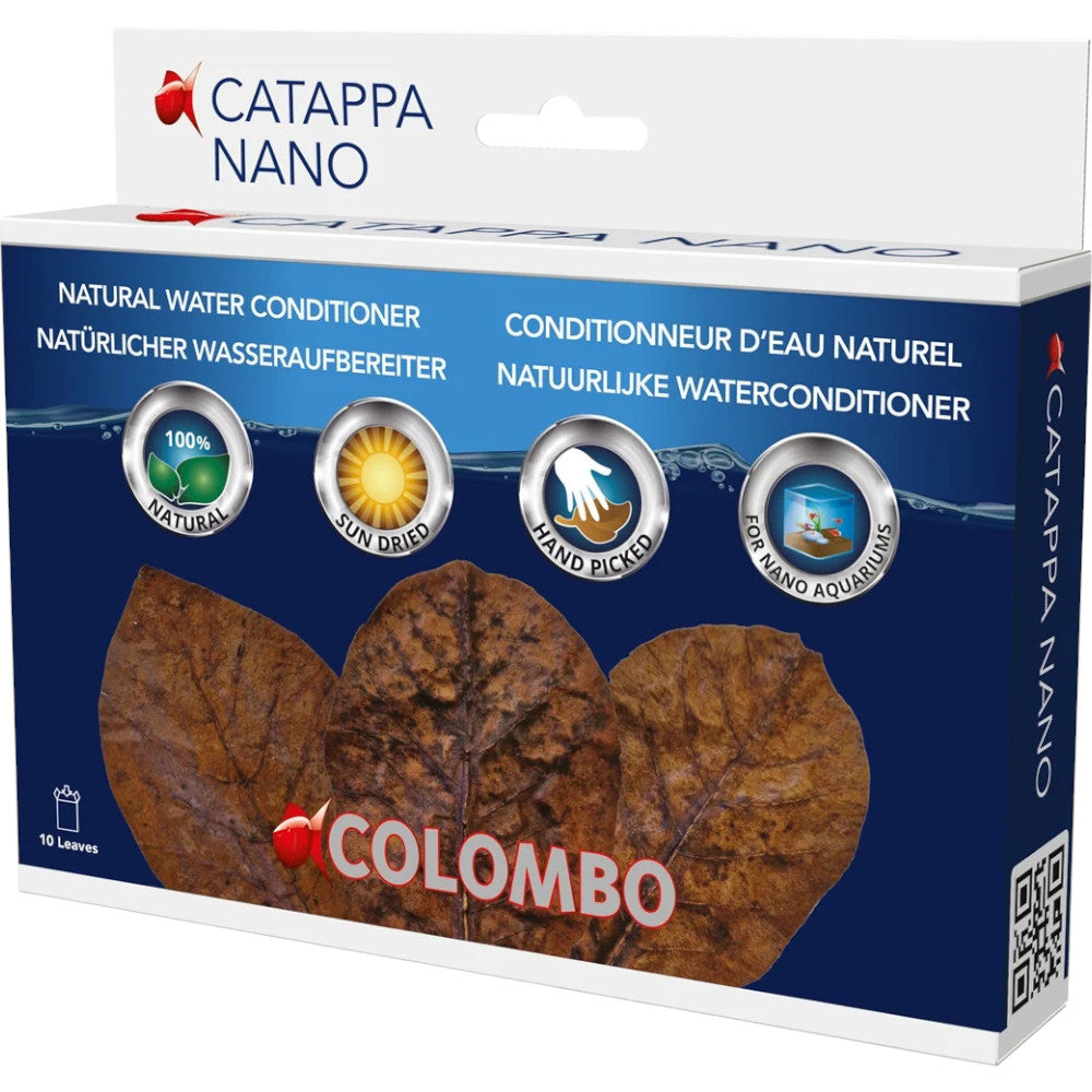 feuilles de catappa