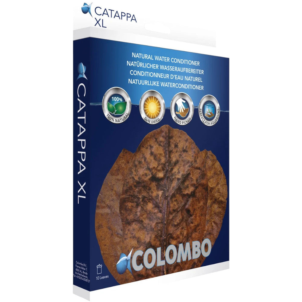 feuilles de catappa