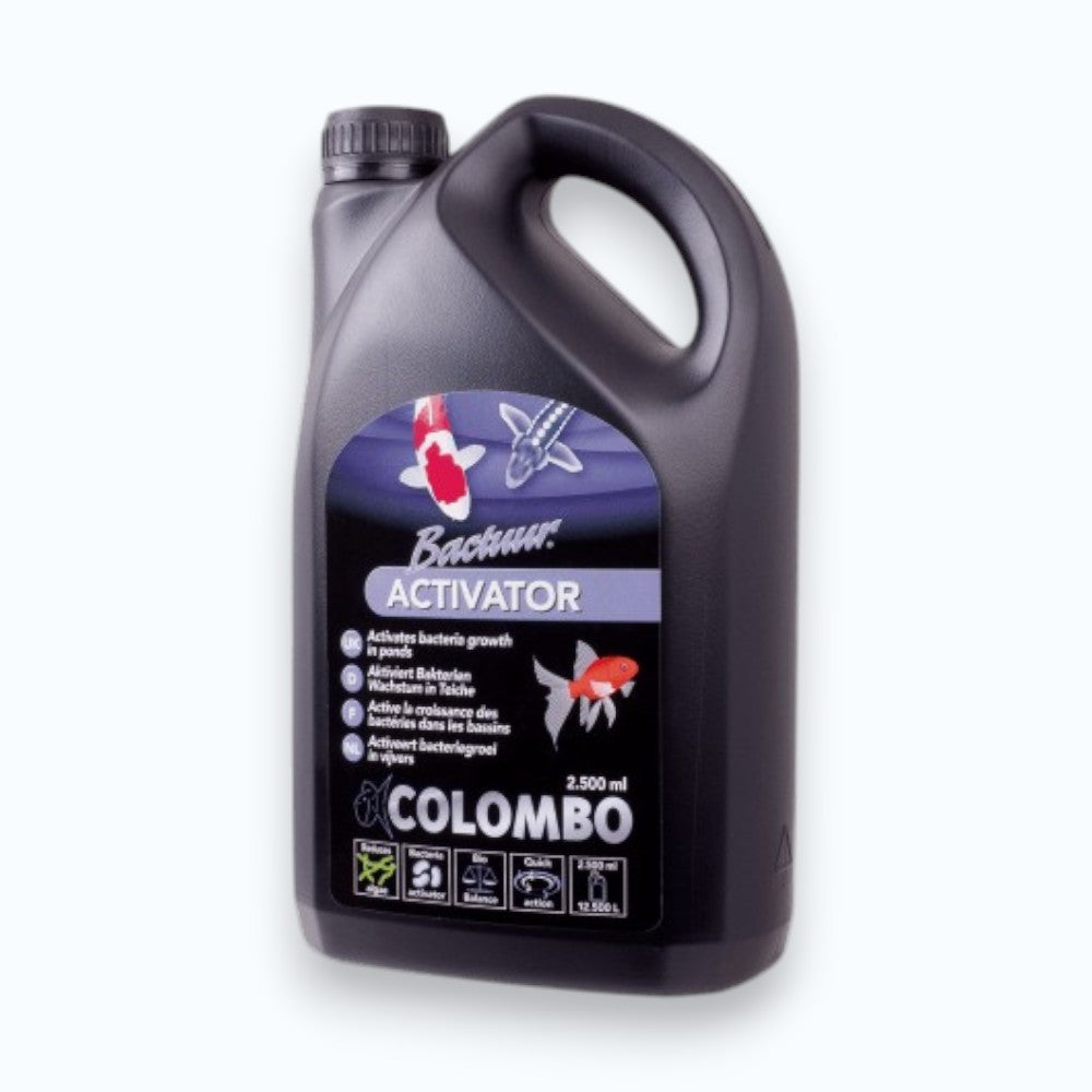 Colombo Activator – activateur biologique pour démarrage rapide du filtre de bassin à koïs