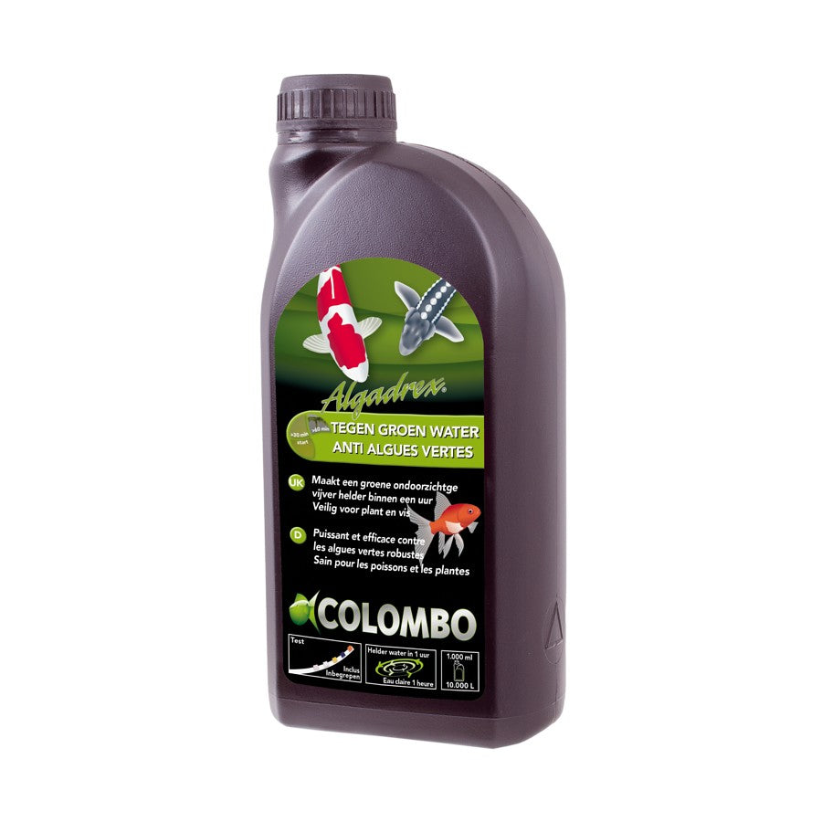 produit anti algue verte pour bassin