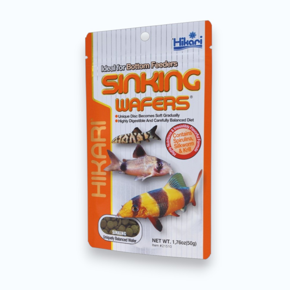 Hikari Sinking Wafers — galettes coulantes spiruline et algues pour plecostomus, corydoras et poissons de fond d'aquarium