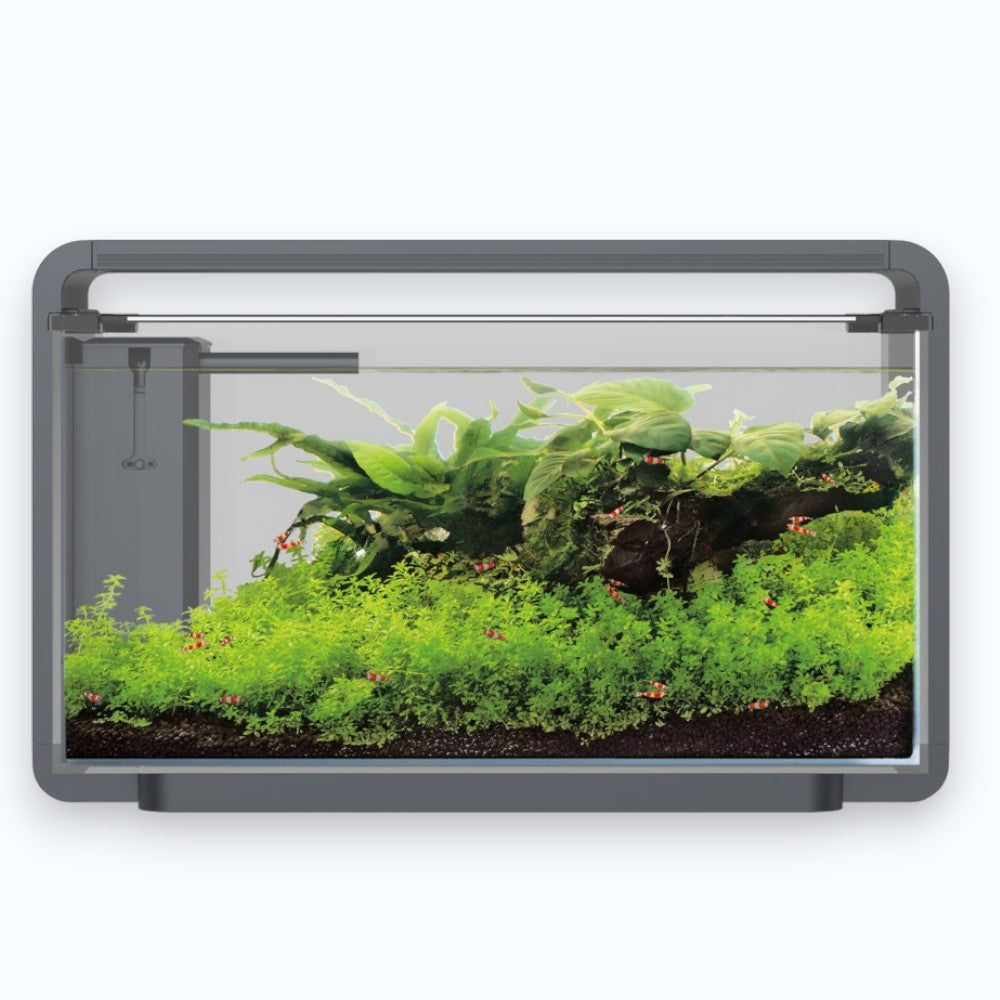 Superfish Home ProLed 85 Black - Aquarium 85 litres éclairage ProLed haute intensité design noir
