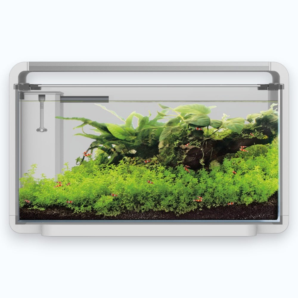 Superfish Home ProLed 85 White - Aquarium 85 litres éclairage ProLed haute intensité design blanc