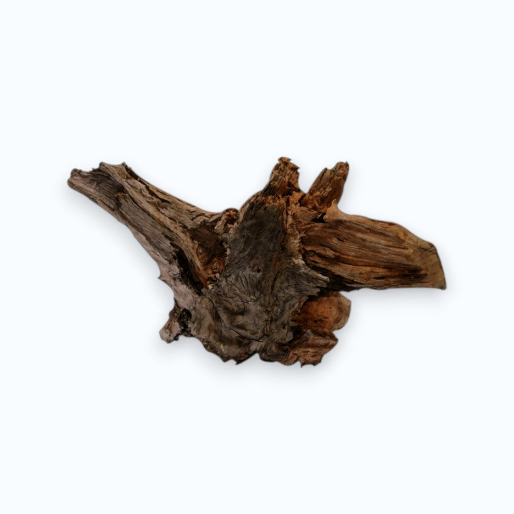 Superfish Racine Bois Flotté – racine naturelle brune aux formes organiques irrégulières pour aquarium et aquascaping