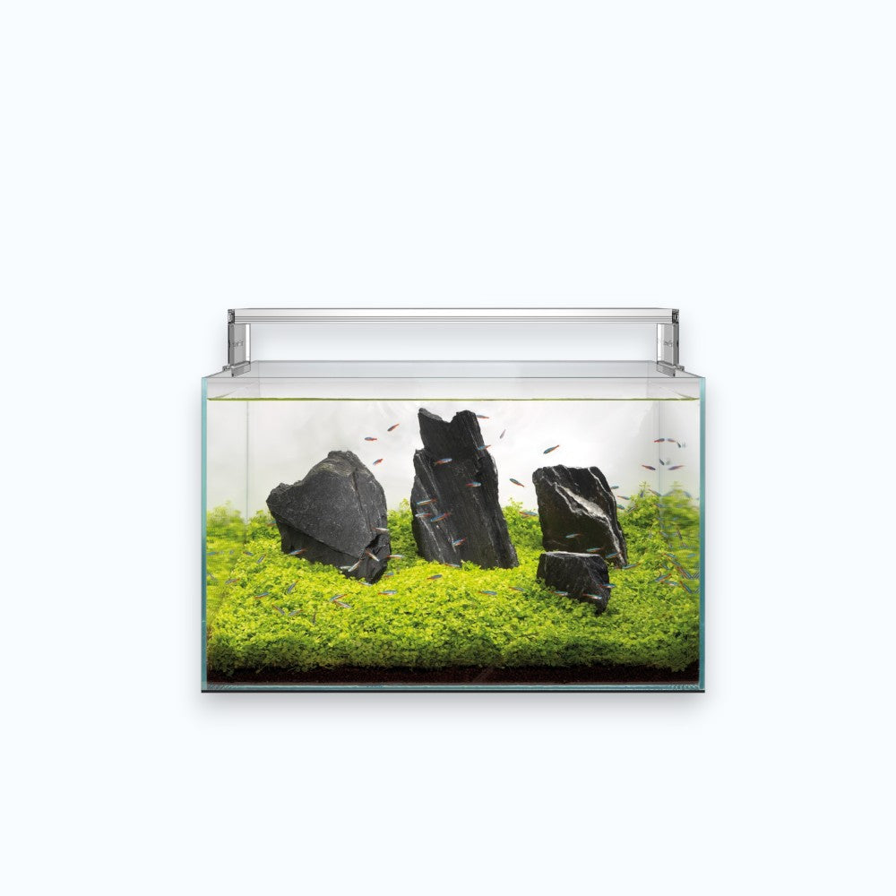 Superfish Scaper 45 - Aquarium 45 litres aquascaping verre ultra-clair design sans cadre