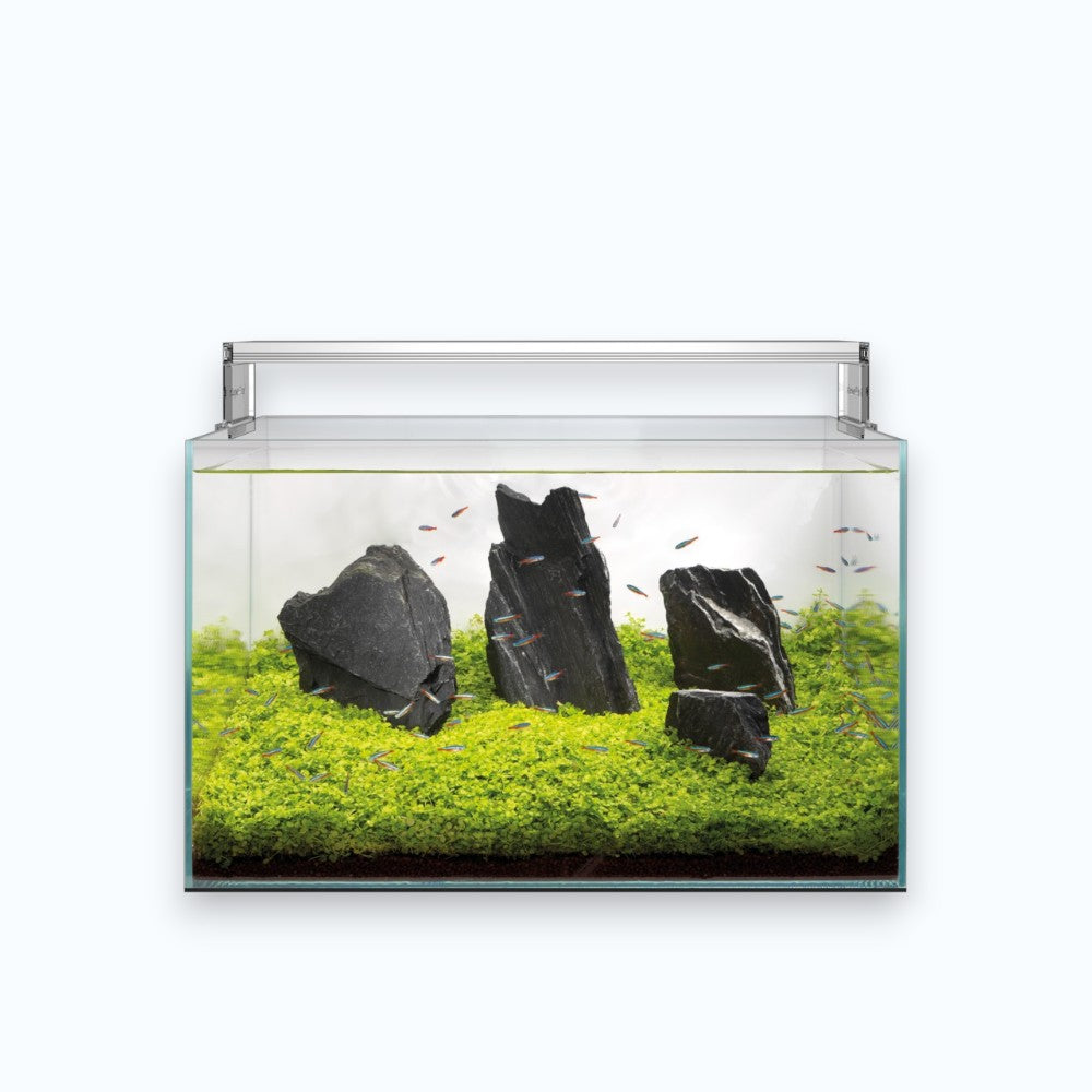 Superfish Scaper 60 - Aquarium 60 litres aquascaping verre ultra-clair design sans cadre