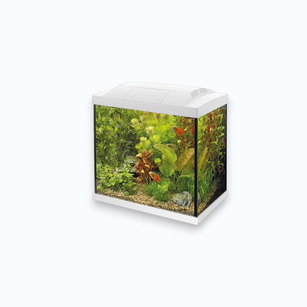 Superfish Start 30 Tropical Kit White - Aquarium 30 litres kit complet tropical design blanc