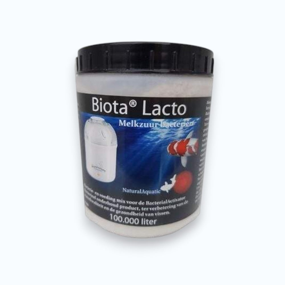 Biota Lacto 100 000 m³ – bactéries lactiques pour traitement biologique grand bassin à carpes koïs