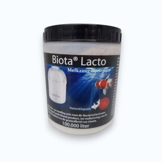 Biota Lacto 100 000 m³ – bactéries lactiques pour traitement biologique grand bassin à carpes koïs