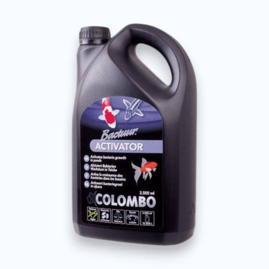 Colombo Activator – activateur biologique pour démarrage rapide du filtre de bassin à koïs