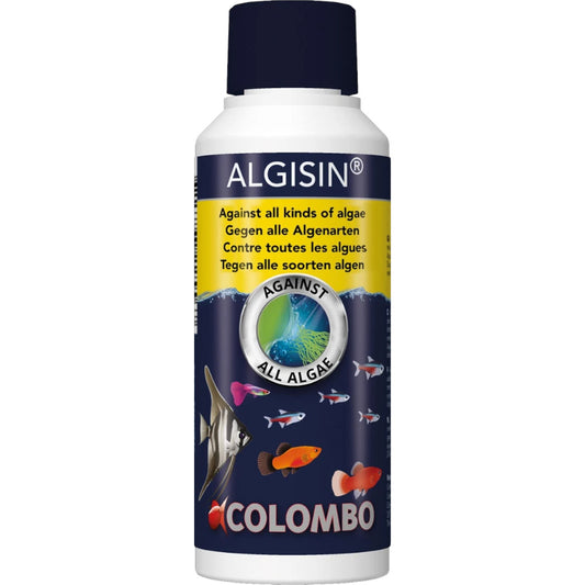 Algisin est efficace contre tous les types d’algues