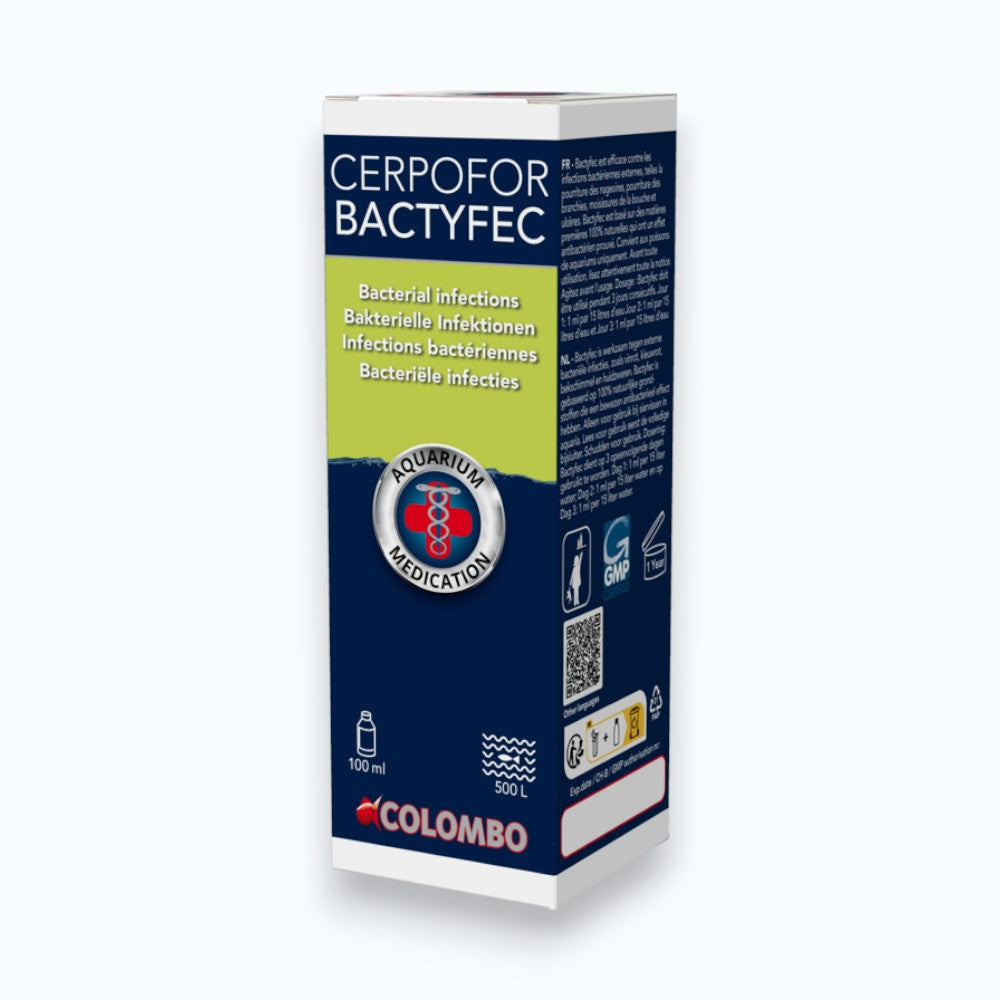 Boîte de Colombo Cerpofor Bactyfec 100 ml, médicament d'aquarium Colombo contre les infections bactériennes des poissons