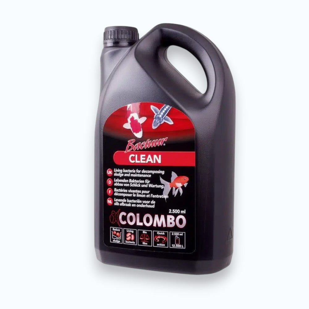 Colombo Clean Sludge – traitement enzymatique anti-boues pour bassin à carpes koïs