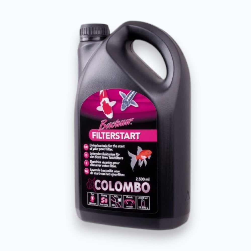 Colombo Filter Start – ensemencement bactérien pour démarrage rapide du filtre de bassin à koïs