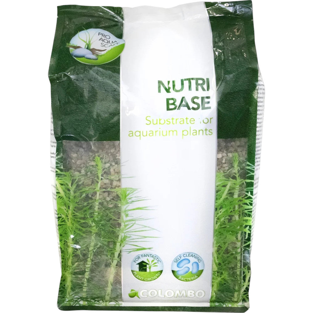 substrat nutritif pour plantes aquatique