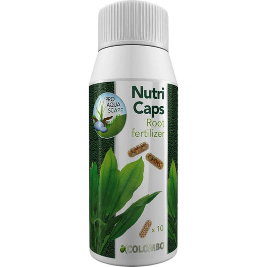 capsules nutritives pour plante aquarium
