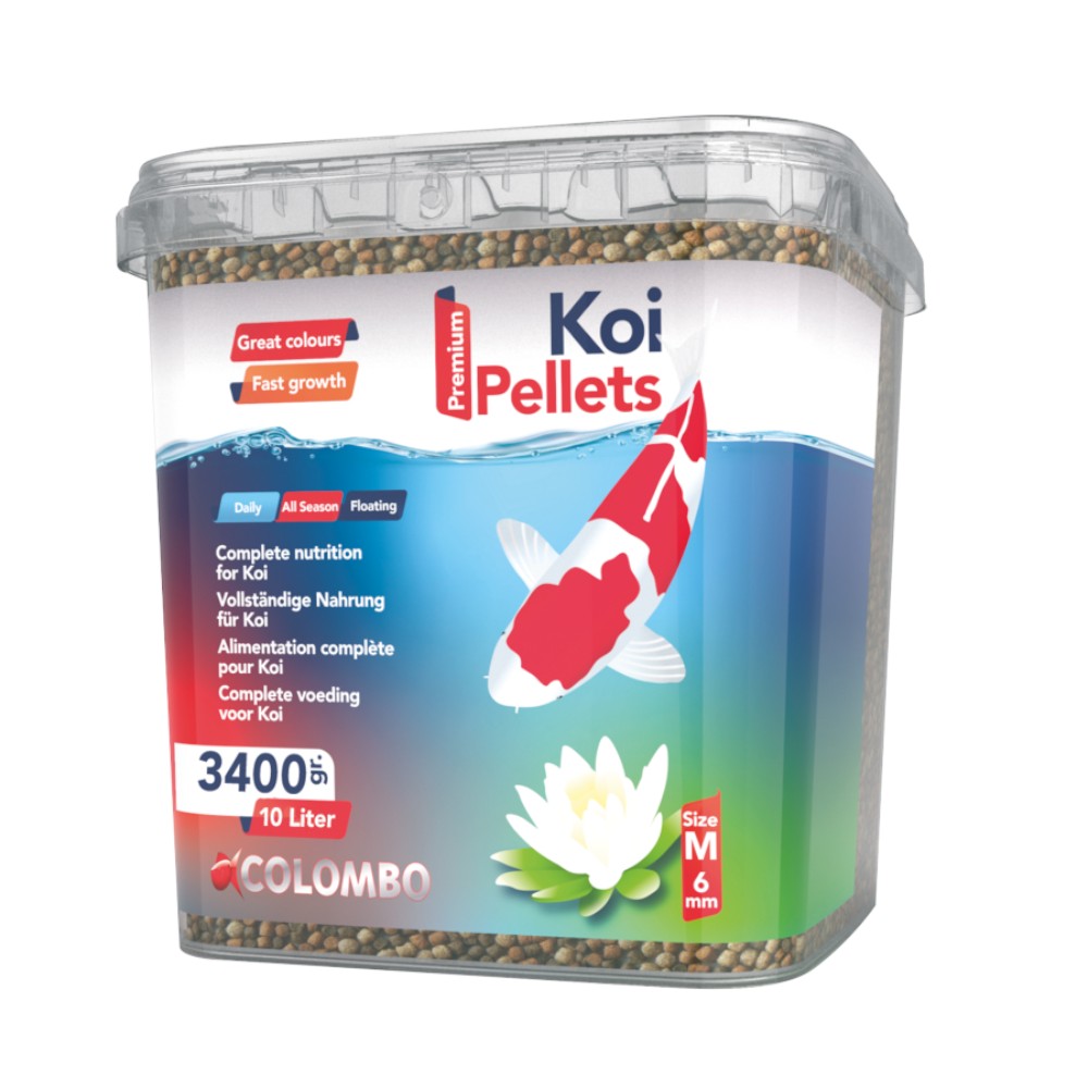 Nourriture pour poisson de bassin
