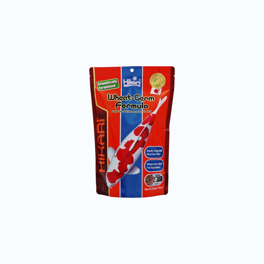 HIKARI WHEAT-GERM MEDIUM 500 GRAM - Sac de granulés medium à base de germe de blé pour alimentation koi basse température