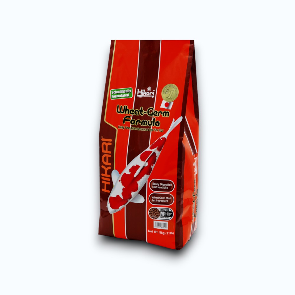 HIKARI WHEAT-GERM MEDIUM 5 KG - Sac de granulés medium à base de germe de blé pour alimentation koi basse température
