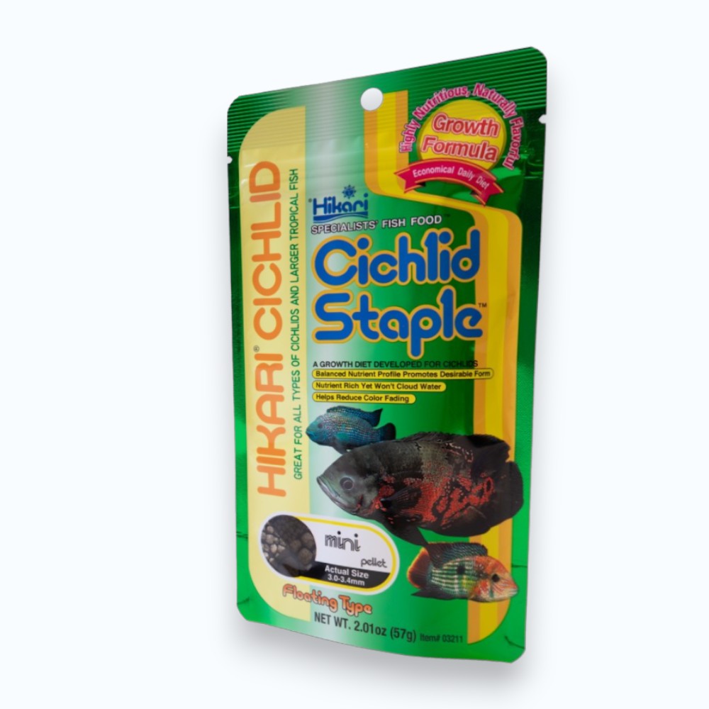 Hikari Cichlid Staple Mini – granulés flottants aliment quotidien pour petits cichlidés d'aquarium