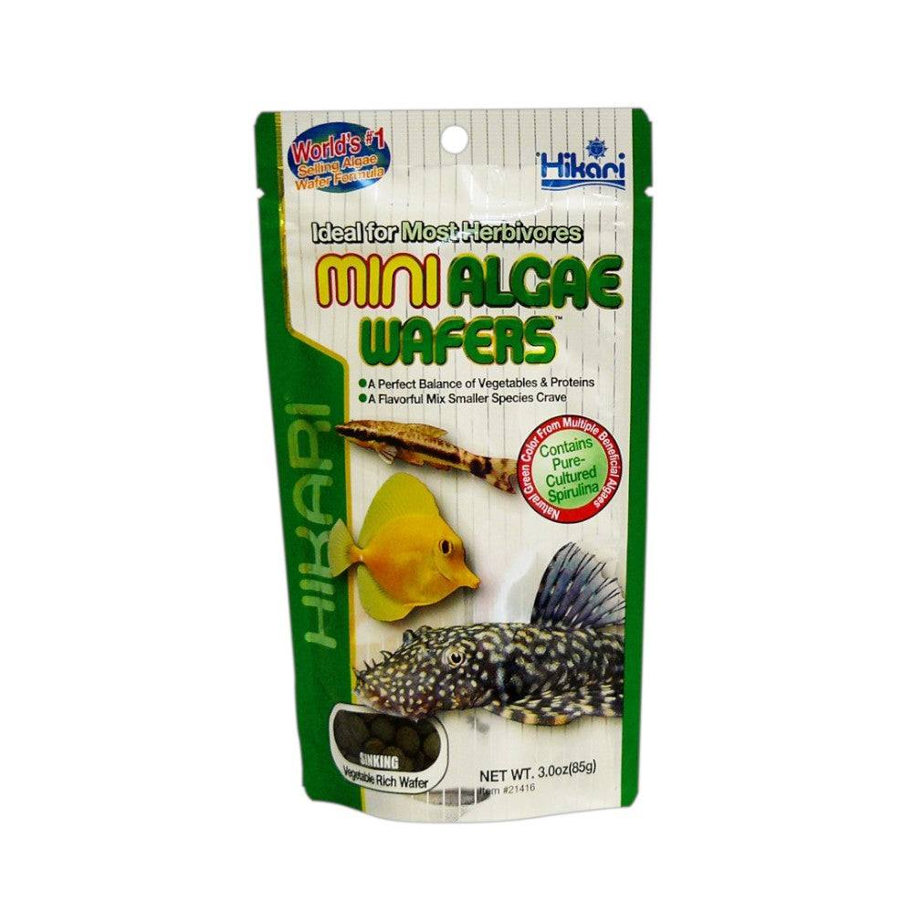 nourriture poisson de fond herbivore