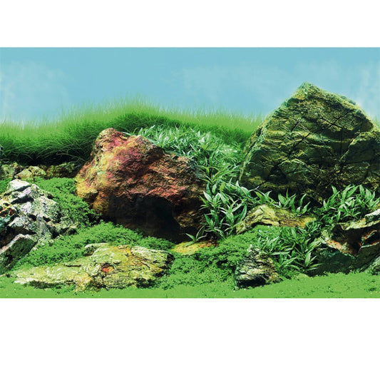 poster aquarium