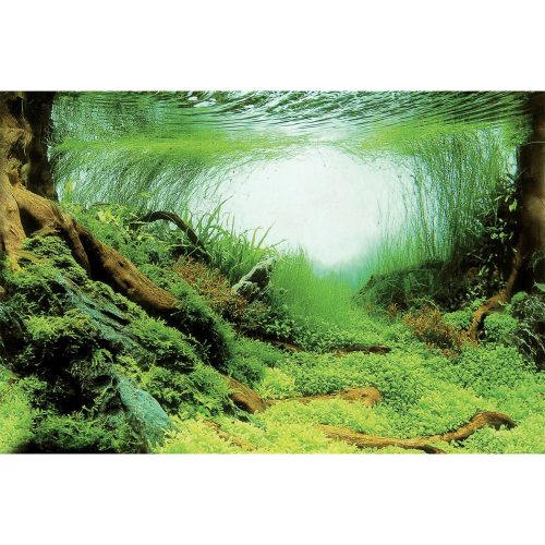 Poster quarium