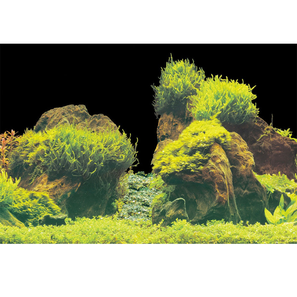 poster aquarium