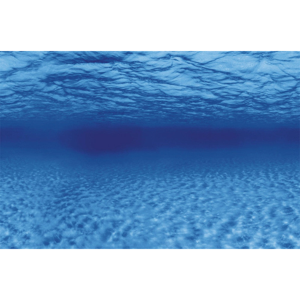 poster aquarium