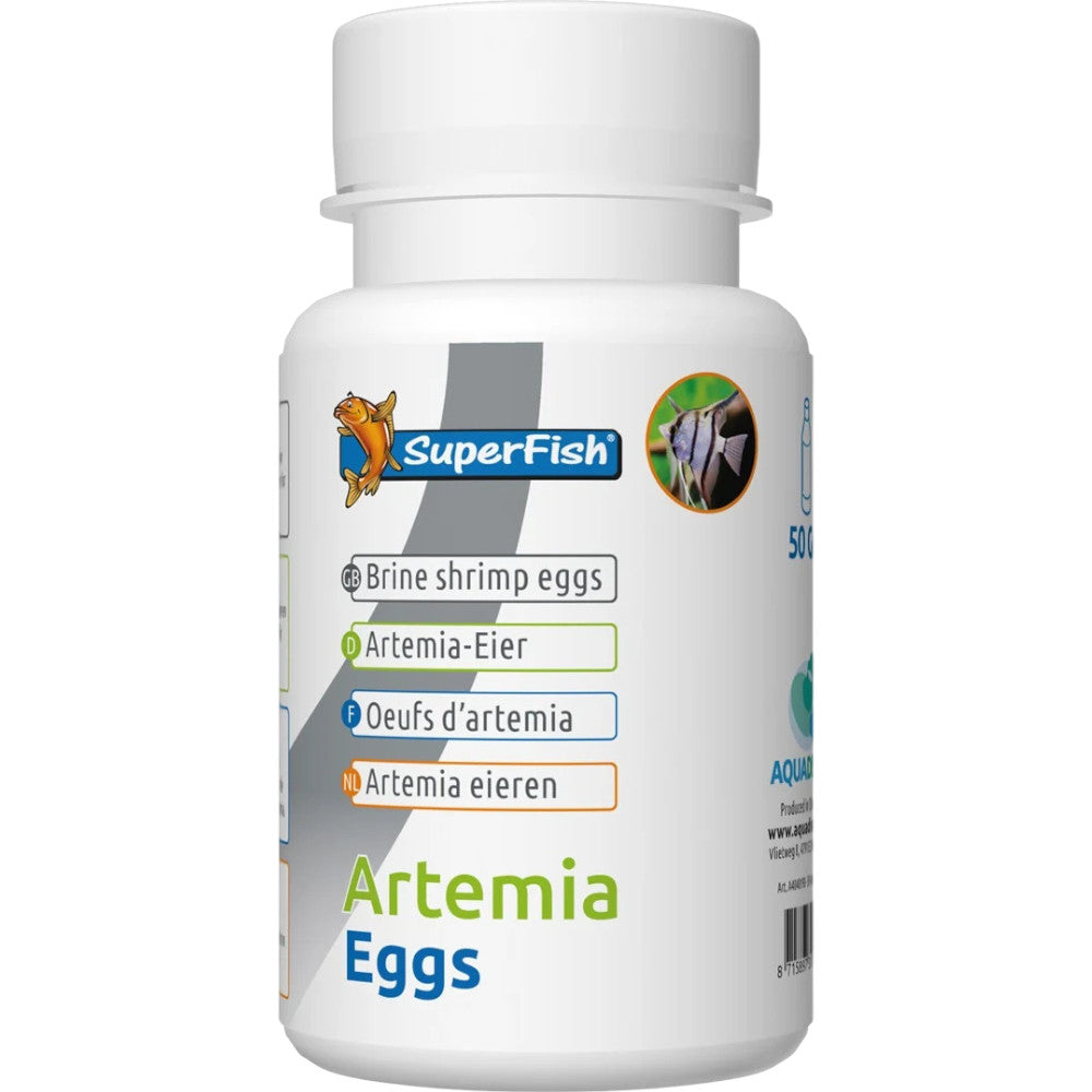 oeuf artemia