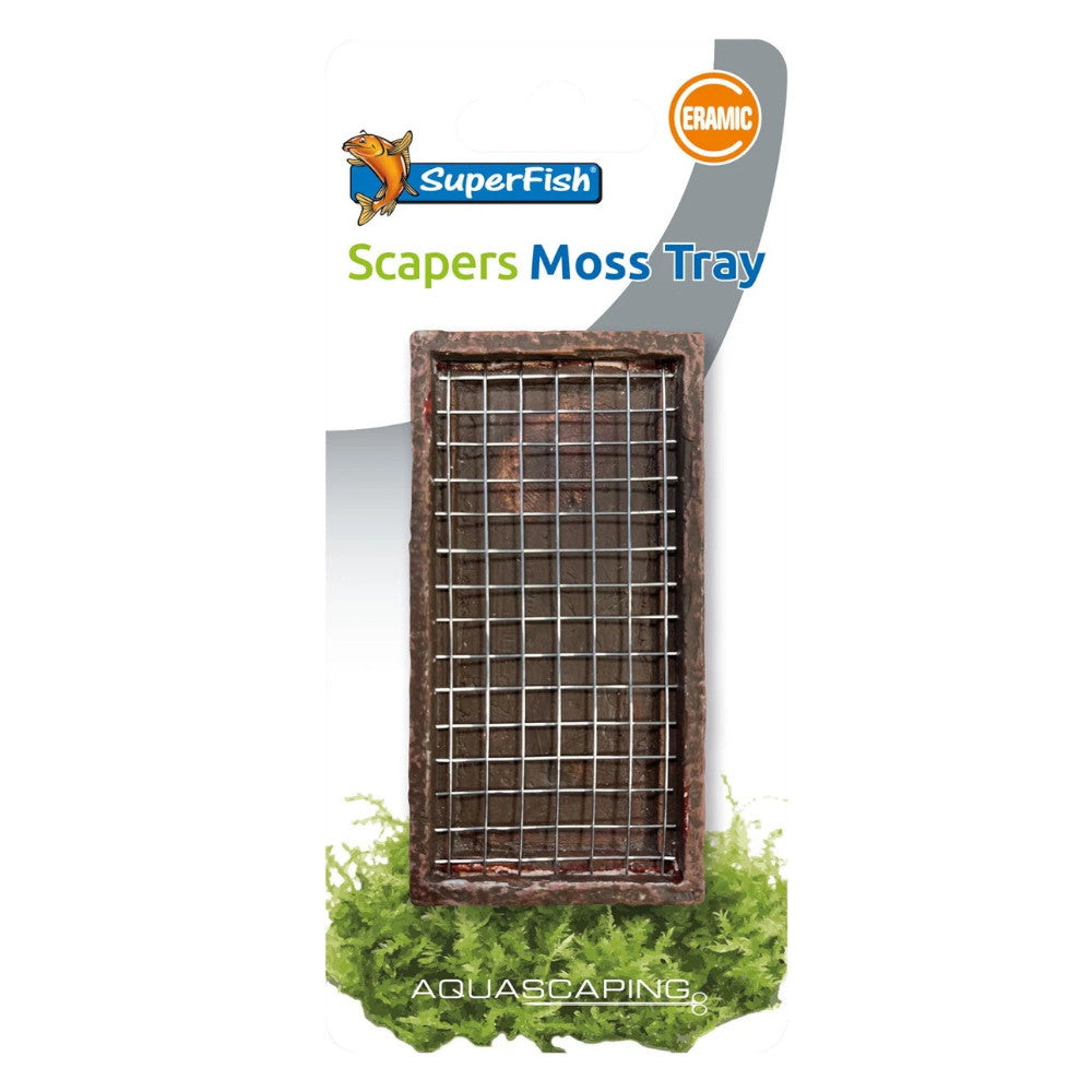 plateau de plantation pour aquarium