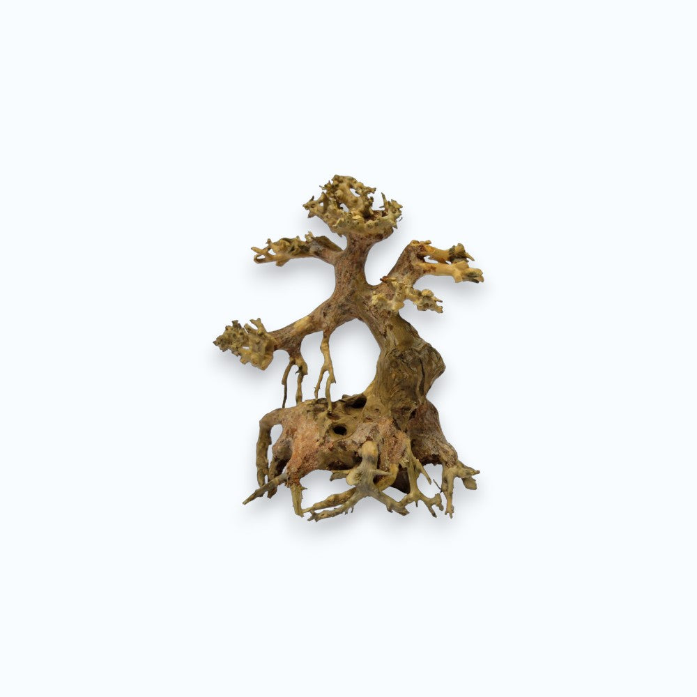 Superfish Bonsai – racine naturelle en forme de bonsai japonais miniature pour aquascaping et aquarium