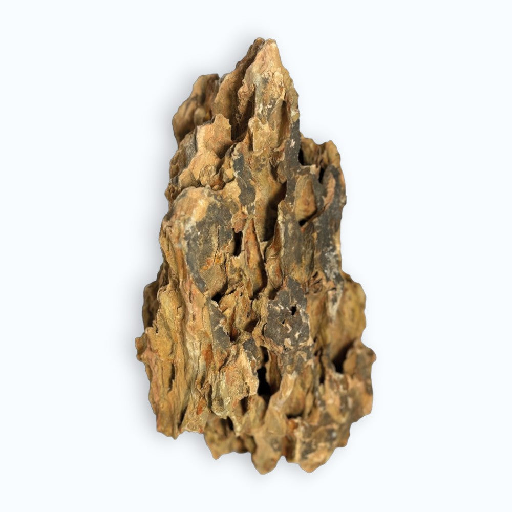 Superfish Dragon Rock – roche naturelle ocre aux formes caverneuses et tourmentées pour aquascaping 