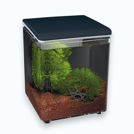 Superfish Home 8 Aquarium Black - Nano aquarium 8 litres design noir élégant avec éclairage LED