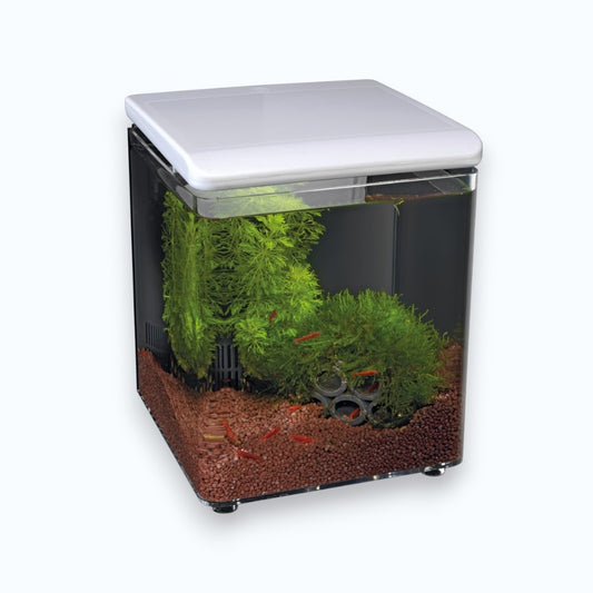 Superfish Home 8 Aquarium White - Nano aquarium 8 litres design épuré avec éclairage LED