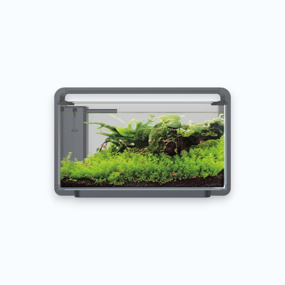 Superfish Home ProLed 30 Black - Aquarium 30 litres éclairage ProLed haute intensité design noir