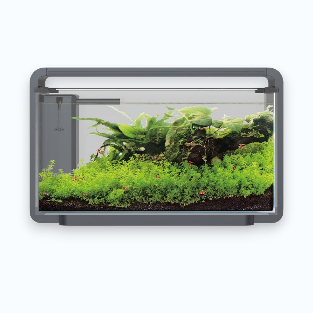 Superfish Home ProLed 65 Black - Aquarium 65 litres éclairage ProLed haute intensité design noir.