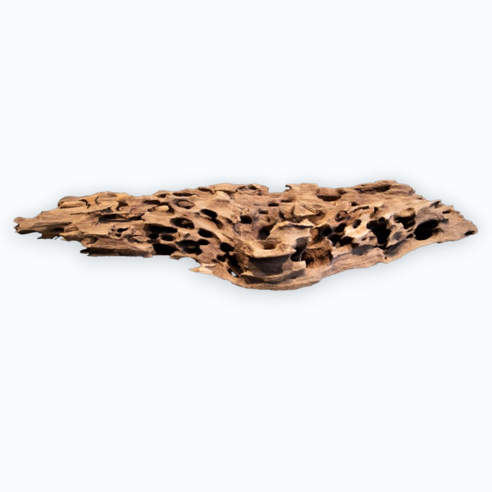 Superfish Honeycomb Wood – racine naturelle brun-ocre aux multiples cavités et tunnels pour aquarium et aquascaping