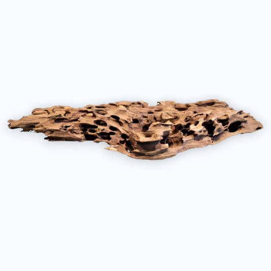 Superfish Honeycomb Wood – racine naturelle brun-ocre aux multiples cavités et tunnels pour aquarium et aquascaping