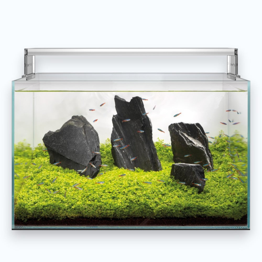 Superfish Scaper 140 - Aquarium 140 litres aquascaping verre ultra-clair design sans cadre