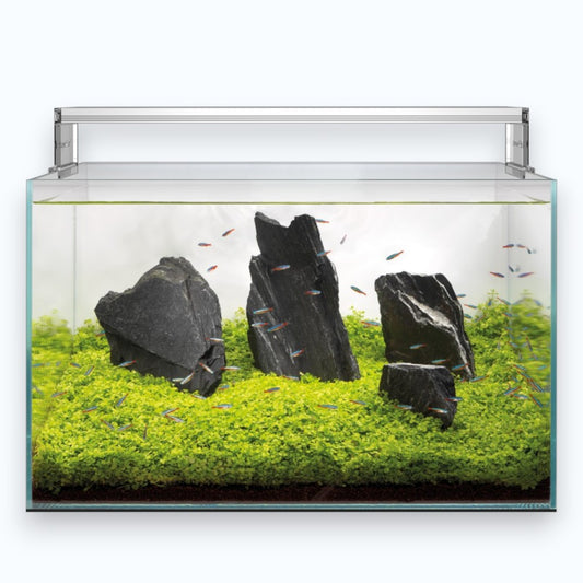 Superfish Scaper 140 - Aquarium 140 litres aquascaping verre ultra-clair design sans cadre