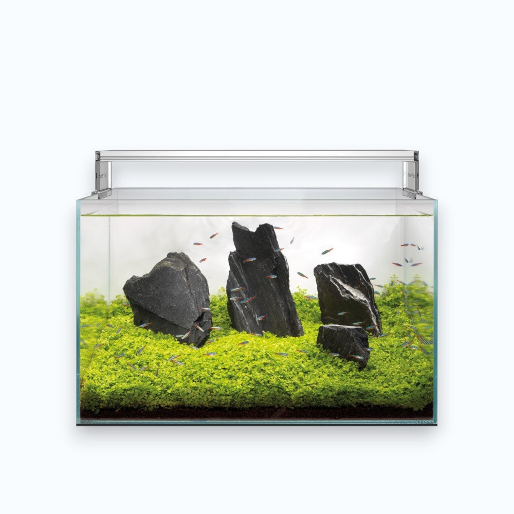 Superfish Scaper 70 - Aquarium 70 litres aquascaping verre ultra-clair design sans cadre