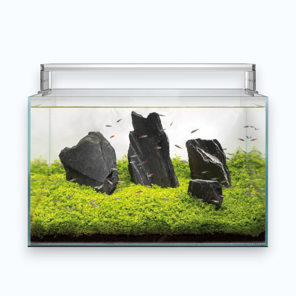 Superfish Scaper 90 - Aquarium 90 litres aquascaping verre ultra-clair design sans cadre