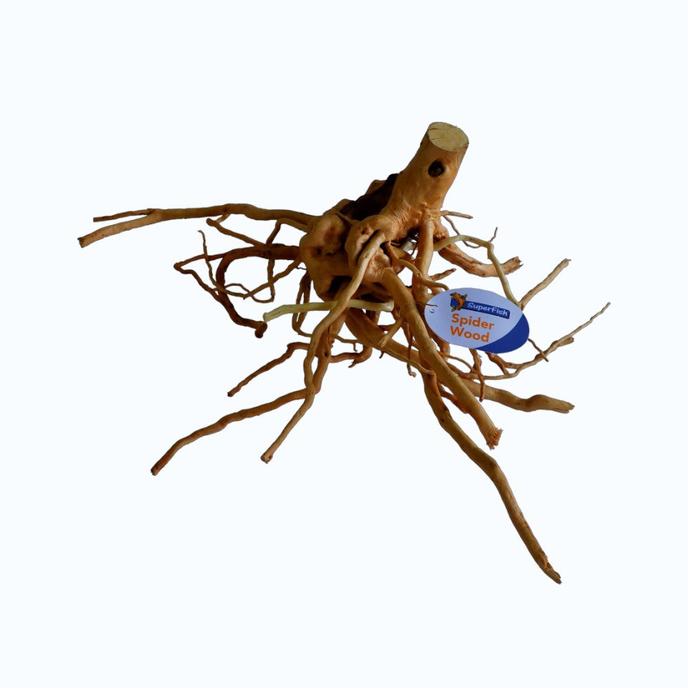 Superfish Spiderwood – racine naturelle beige aux nombreuses ramifications fines étalées pour aquascaping 