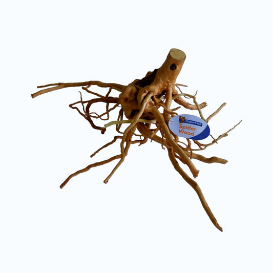 Superfish Spiderwood – racine naturelle beige aux nombreuses ramifications fines étalées pour aquascaping 