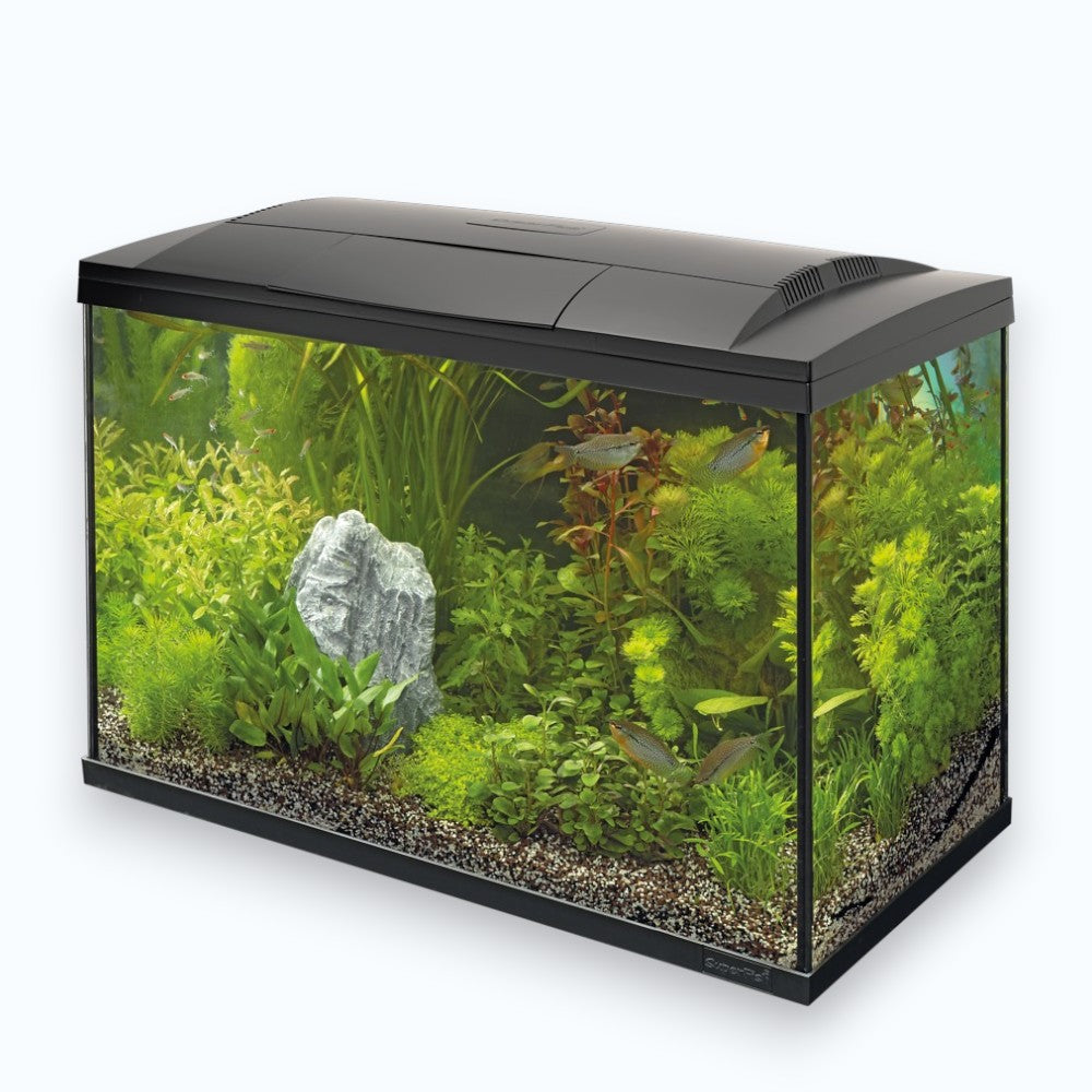 Superfish Start 100 Tropical Kit Black - Aquarium 100 litres kit complet tropical design noir