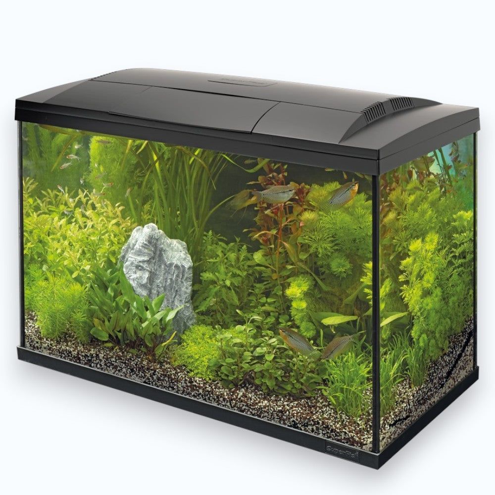 Superfish Start 150 Tropical Kit Black - Aquarium 150 litres kit complet tropical design noir