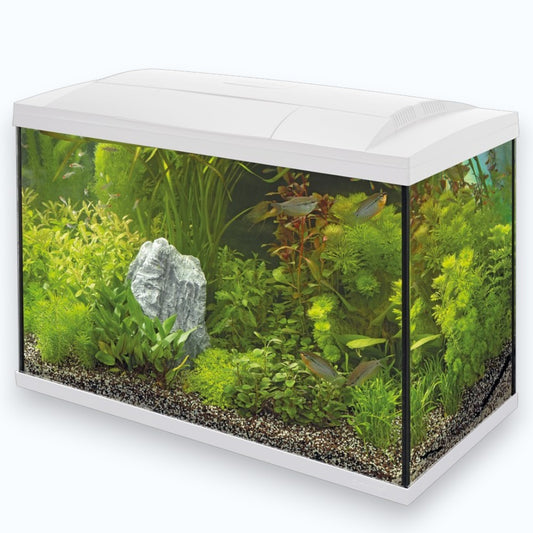 Superfish Start 150 Tropical Kit White - Aquarium 150 litres kit complet tropical design blanc