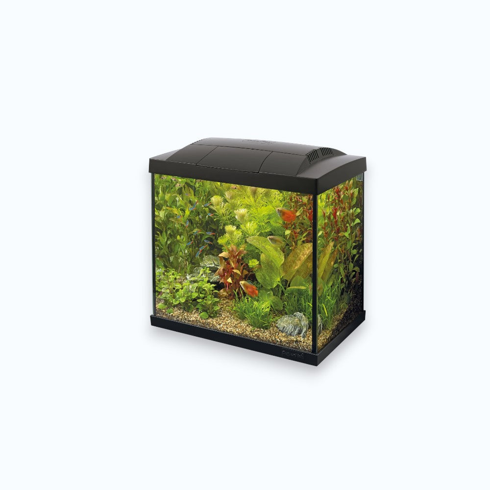 Superfish Start 20 Kit Black - Nano aquarium 20 litres kit complet design noir